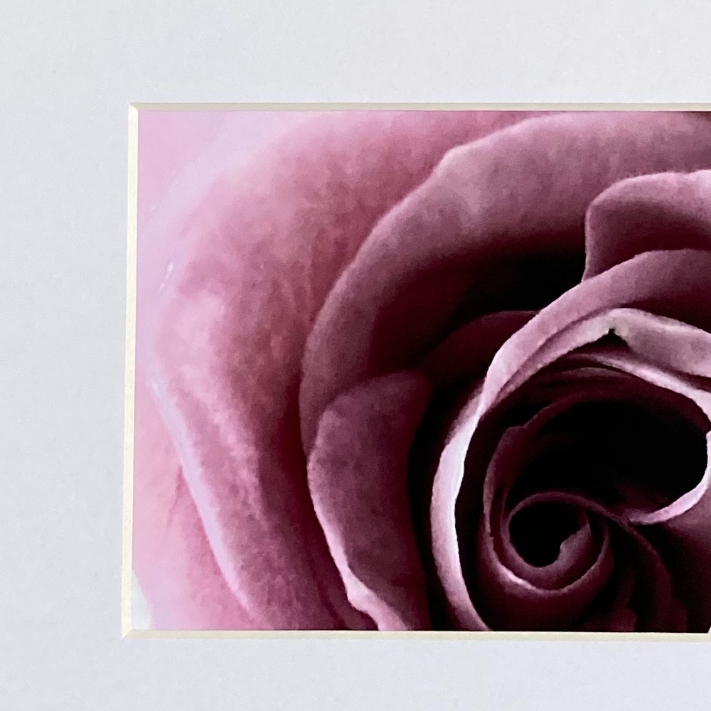 ❌SOLD❌BELLA DONNA” ~ ORIGINAL ART by ~ @lisamichellebeckerphotography - Picture 5 of 14